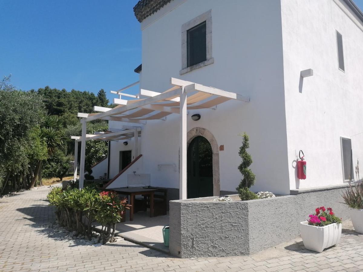 Agriturismo Valle Dei Gelsi Peschici Dış mekan fotoğraf
