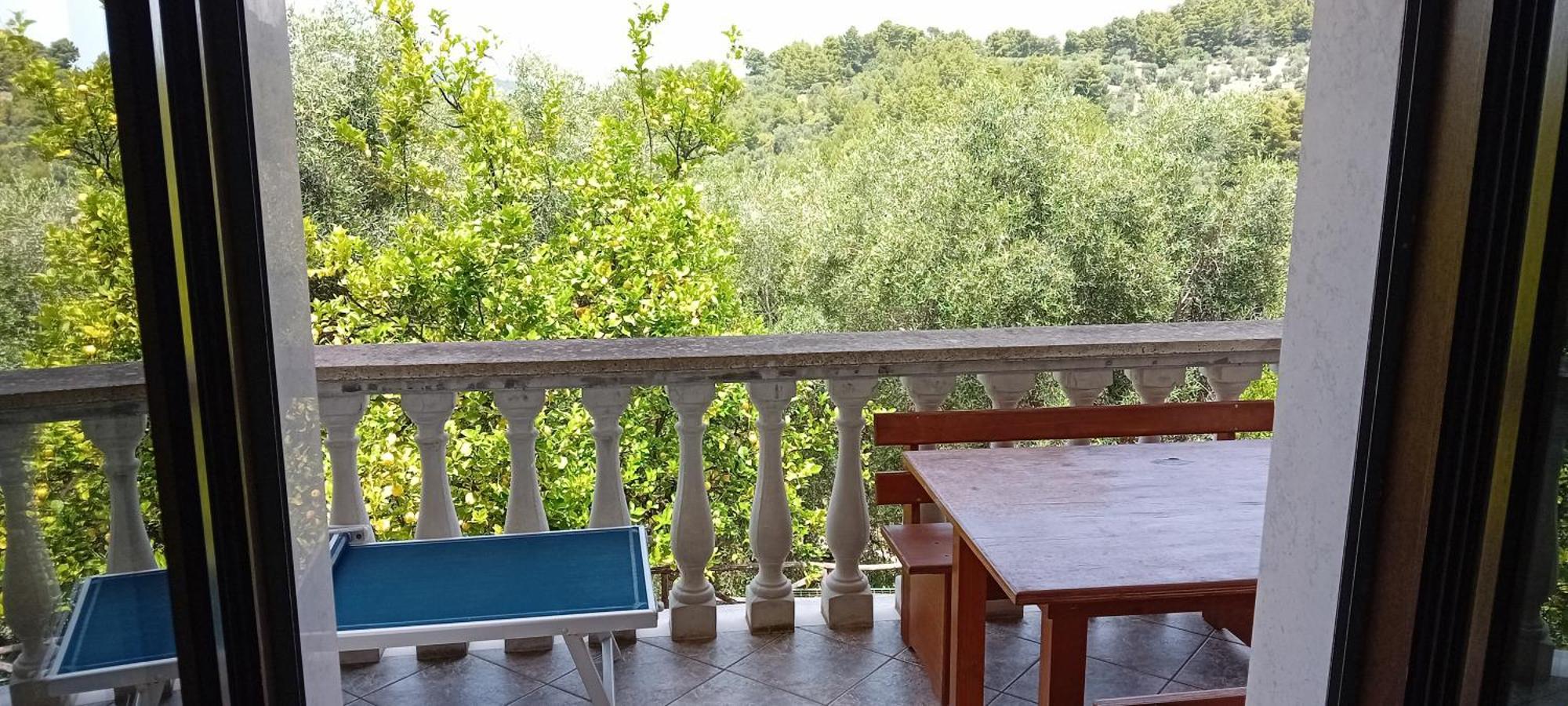 Agriturismo Valle Dei Gelsi Peschici Oda fotoğraf